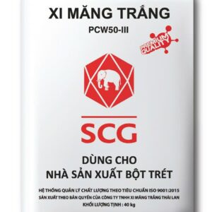 Xi măng trắng SCG PCW50